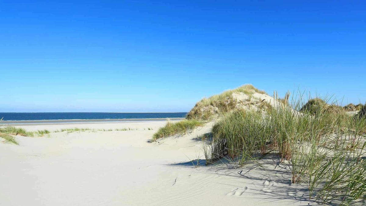 Feriengebiet Lange Drift in Hooksiel – ruhige Lage des Ferienhauses