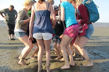 Kinder und Jugendliche bei einer Wattwanderung an der Nordsee: Freizeitangebot für Familienurlaub in Hooksiel