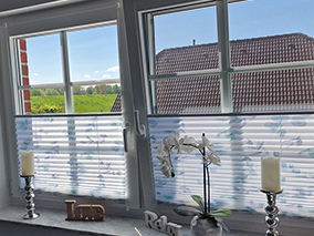 Blick aus dem Fenster mit Insektenschutz