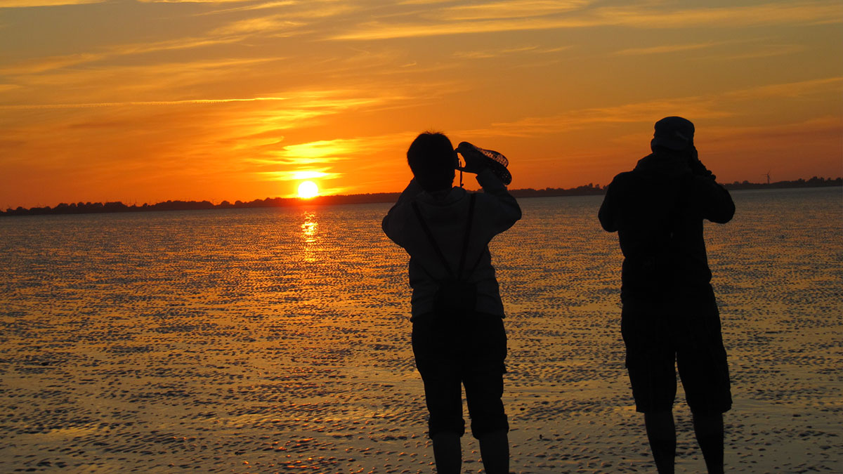 Wattwanderung in Hooksiel im UNESCO-Weltnaturerbe Wattenmeer mit geführten Touren für Familien und Kinder