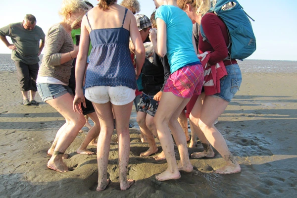 Gruppe bei der geführten Wattwanderung im Wattenmeer bei Hooksiel